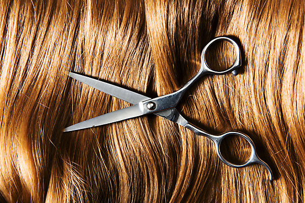 포토 JPG 스튜디오촬영 갈색머리 실내 근접촬영 사람없음 하이앵글 뷰티 미용용품 미용실 오브젝트 헤어용품 헤어관리 머릿결 미용가위 플랫레이 국내포토 헤어스타일 뷰포인트 가위_도구 내부 플랫 뷰티샵 파일형식