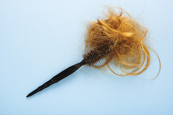 포토 JPG 스튜디오촬영 실내 누끼 사람없음 하이앵글 금발 뷰티 머리빗 미용용품 엉킴 미용실 오브젝트 파란배경 헤어용품 헤어관리 롤빗 머릿결 플랫레이 국내포토 헤어스타일 뷰포인트 백그라운드 내부 파란색 플랫 뷰티샵 파일형식