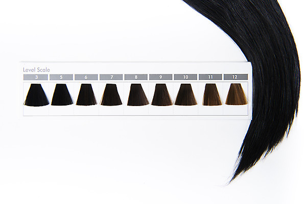 포토 JPG 스튜디오촬영 실내 누끼 사람없음 하이앵글 뷰티 견본 미용용품 검은머리 미용실 오브젝트 흰배경 헤어용품 염색 헤어관리 머릿결 플랫레이 국내포토 헤어스타일 뷰포인트 백그라운드 내부 흰색 플랫 뷰티샵 파일형식