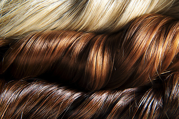 포토 JPG 스튜디오촬영 갈색머리 실내 근접촬영 사람없음 하이앵글 금발 뷰티 미용용품 미용실 오브젝트 헤어용품 헤어관리 머릿결 플랫레이 국내포토 헤어스타일 뷰포인트 내부 플랫 뷰티샵 파일형식