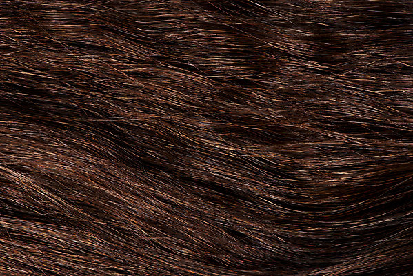 포토 JPG 스튜디오촬영 갈색머리 실내 근접촬영 사람없음 하이앵글 뷰티 미용용품 미용실 오브젝트 헤어용품 헤어관리 머릿결 플랫레이 국내포토 헤어스타일 뷰포인트 내부 플랫 뷰티샵 파일형식