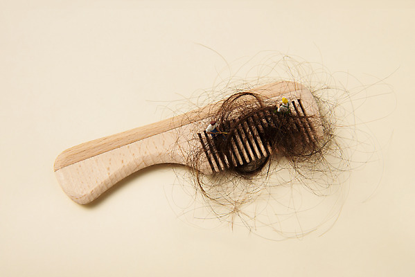 포토 JPG 스튜디오촬영 실내 누끼 사람없음 하이앵글 뷰티 머리카락 미니어처 머리빗 오브젝트 헤어용품 헤어관리 탈모 베이지색배경 플랫레이 국내포토 뷰포인트 백그라운드 내부 머리 모형 미용용품 플랫 베이지색 증상 파일형식