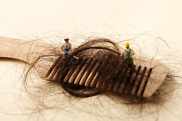 포토 JPG 스튜디오촬영 실내 누끼 사람없음 뷰티 머리카락 미니어처 머리빗 오브젝트 헤어용품 헤어관리 탈모 베이지색배경 국내포토 백그라운드 내부 머리 모형 미용용품 베이지색 증상 파일형식