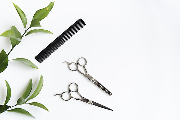 포토 JPG 스튜디오촬영 잎 실내 누끼 사람없음 하이앵글 뷰티 머리빗 오브젝트 흰배경 헤어용품 헤어관리 미용가위 플랫레이 국내포토 식물 뷰포인트 백그라운드 가위_도구 내부 흰색 미용용품 플랫 파일형식