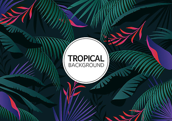 백그라운드 패턴 일러스트 나뭇잎 사람없음 여름 컬러풀 패턴백그라운드 원형 식물백그라운드 원형프레임 야자수잎 트로피컬아트 국내일러스트 AI파일 도형 식물 계절 컬러 잎 무늬 프레임 그림 파일형식 벡터
