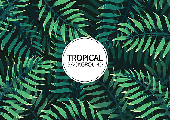 백그라운드 패턴 일러스트 나뭇잎 사람없음 여름 컬러풀 패턴백그라운드 원형 식물백그라운드 원형프레임 야자수잎 트로피컬아트 국내일러스트 AI파일 도형 식물 계절 컬러 잎 무늬 프레임 그림 파일형식 벡터