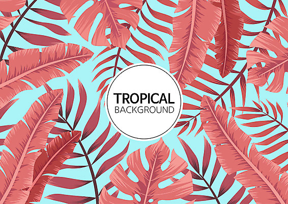 백그라운드 패턴 일러스트 나뭇잎 사람없음 여름 컬러풀 패턴백그라운드 원형 식물백그라운드 원형프레임 야자수잎 트로피컬아트 국내일러스트 AI파일 도형 식물 계절 컬러 잎 무늬 프레임 그림 파일형식 벡터