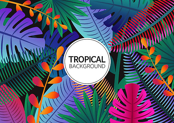 백그라운드 패턴 일러스트 나뭇잎 사람없음 여름 컬러풀 패턴백그라운드 원형 식물백그라운드 원형프레임 야자수잎 몬스테라 트로피컬아트 국내일러스트 AI파일 도형 식물 계절 컬러 잎 무늬 프레임 그림 파일형식 벡터