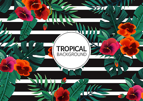 꽃 백그라운드 패턴 일러스트 나뭇잎 사람없음 여름 컬러풀 패턴백그라운드 원형 식물백그라운드 원형프레임 야자수잎 몬스테라 트로피컬아트 국내일러스트 AI파일 도형 식물 계절 컬러 잎 무늬 프레임 그림 파일형식 벡터