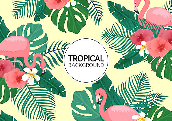 꽃 백그라운드 패턴 일러스트 나뭇잎 사람없음 여름 컬러풀 패턴백그라운드 원형 플라밍고 식물백그라운드 원형프레임 야자수잎 몬스테라 트로피컬아트 국내일러스트 AI파일 도형 식물 계절 컬러 잎 무늬 조류 프레임 그림 파일형식 벡터