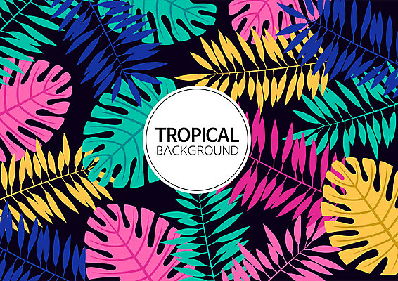 백그라운드 패턴 일러스트 나뭇잎 사람없음 여름 컬러풀 패턴백그라운드 원형 식물백그라운드 원형프레임 야자수잎 몬스테라 트로피컬아트 국내일러스트 AI파일 도형 식물 계절 컬러 잎 무늬 프레임 그림 파일형식 벡터