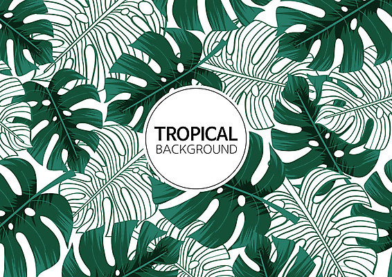 백그라운드 패턴 일러스트 나뭇잎 사람없음 여름 컬러풀 패턴백그라운드 원형 식물백그라운드 원형프레임 야자수잎 몬스테라 트로피컬아트 국내일러스트 AI파일 도형 식물 계절 컬러 잎 무늬 프레임 그림 파일형식 벡터