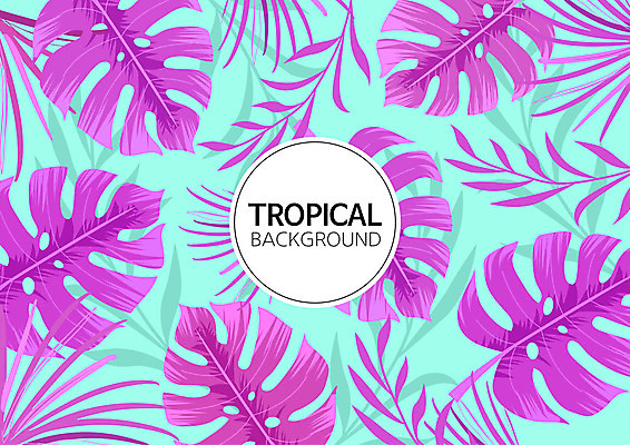 백그라운드 패턴 일러스트 나뭇잎 사람없음 여름 컬러풀 패턴백그라운드 원형 식물백그라운드 원형프레임 야자수잎 몬스테라 트로피컬아트 국내일러스트 AI파일 도형 식물 계절 컬러 잎 무늬 프레임 그림 파일형식 벡터