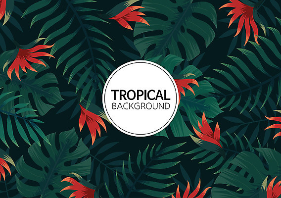 꽃 백그라운드 패턴 일러스트 나뭇잎 사람없음 여름 컬러풀 패턴백그라운드 원형 식물백그라운드 원형프레임 야자수잎 몬스테라 트로피컬아트 국내일러스트 AI파일 도형 식물 계절 컬러 잎 무늬 프레임 그림 파일형식 벡터