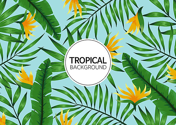 꽃 백그라운드 패턴 일러스트 나뭇잎 사람없음 여름 컬러풀 패턴백그라운드 원형 식물백그라운드 원형프레임 야자수잎 트로피컬아트 국내일러스트 AI파일 도형 식물 계절 컬러 잎 무늬 프레임 그림 파일형식 벡터