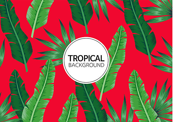 백그라운드 패턴 일러스트 나뭇잎 사람없음 여름 컬러풀 패턴백그라운드 원형 식물백그라운드 원형프레임 야자수잎 트로피컬아트 국내일러스트 AI파일 도형 식물 계절 컬러 잎 무늬 프레임 그림 파일형식 벡터