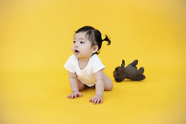 포토 JPG 스튜디오촬영 전신 여자 인형 생명 실내 한명 미소 사람 앞모습 장난감 귀여움 한국인 성장 아기 보호 즐거움 기저귀 기어가기 강아지인형 노란배경 천진난만 여자아기한명만 국내포토 1 감정 뷰포인트 백그라운드 컨셉 모션 표정 동양인 내부 노란색 아기용품 여자한명만 여자아기만 파일형식