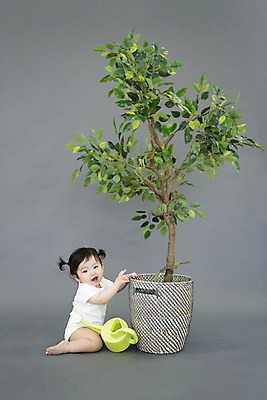 포토 JPG 스튜디오촬영 전신 나무 식물 응시 여자 화분 생각 회색배경 생명 실내 한명 미소 사람 앉기 옆모습 귀여움 물뿌리개 한국인 성장 아기 잡기 보호 기저귀 천진난만 여자아기한명만 국내포토 1 시선 뷰포인트 백그라운드 컨셉 모션 표정 동양인 내부 회색 아기용품 여자한명만 여자아기만 파일형식