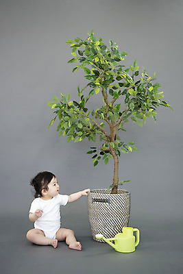 포토 JPG 스튜디오촬영 전신 나무 식물 여자 화분 생각 회색배경 생명 실내 한명 미소 사람 앉기 옆모습 귀여움 한국인 성장 아기 잡기 보호 기저귀 물뿌리기 천진난만 여자아기한명만 국내포토 1 뷰포인트 백그라운드 컨셉 모션 표정 동양인 내부 회색 아기용품 여자한명만 여자아기만 파일형식