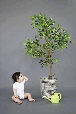 포토 JPG 스튜디오촬영 전신 나무 식물 여자 화분 생각 회색배경 생명 실내 한명 미소 들기 사람 앉기 옆모습 귀여움 물뿌리개 한국인 올려보기 성장 아기 잡기 보호 기저귀 천진난만 여자아기한명만 국내포토 1 뷰포인트 백그라운드 컨셉 모션 표정 동양인 내부 회색 아기용품 여자한명만 여자아기만 파일형식
