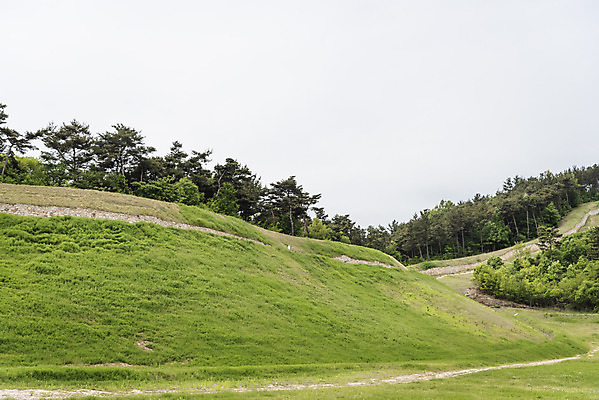 포토 JPG 주간 나무 한국전통 여행 유적지 풍경 사람없음 야외 관광지 봄 세계문화유산 문화재 역사 한국사 국내여행 부여 사적지 성곽길 백제역사유적지구 부여나성 국내포토 자연요소 식물 전통 계절 길 고건축 한국 성 충청남도 파일형식