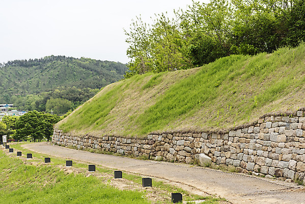 포토 JPG 주간 나무 한국전통 여행 유적지 풍경 사람없음 야외 관광지 봄 세계문화유산 문화재 역사 한국사 국내여행 부여 사적지 성곽길 백제역사유적지구 부여나성 국내포토 자연요소 식물 전통 계절 길 고건축 한국 성 충청남도 파일형식
