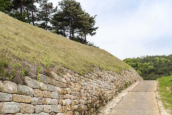 포토 JPG 주간 나무 한국전통 여행 유적지 풍경 사람없음 야외 관광지 봄 세계문화유산 문화재 역사 한국사 국내여행 부여 사적지 성곽길 백제역사유적지구 부여나성 국내포토 자연요소 식물 전통 계절 길 고건축 한국 성 충청남도 파일형식