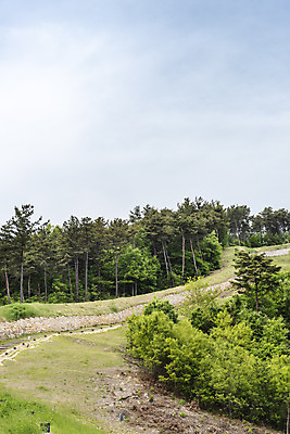 포토 JPG 주간 나무 한국전통 여행 유적지 풍경 사람없음 야외 관광지 봄 세계문화유산 문화재 역사 한국사 국내여행 부여 사적지 성곽길 백제역사유적지구 부여나성 국내포토 자연요소 식물 전통 계절 길 고건축 한국 성 충청남도 파일형식