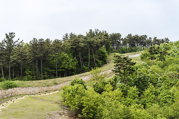 포토 JPG 주간 나무 한국전통 여행 유적지 풍경 사람없음 야외 관광지 봄 세계문화유산 문화재 역사 한국사 국내여행 부여 사적지 성곽길 백제역사유적지구 부여나성 국내포토 자연요소 식물 전통 계절 길 고건축 한국 성 충청남도 파일형식