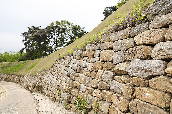 포토 JPG 주간 나무 한국전통 여행 유적지 풍경 사람없음 야외 관광지 봄 세계문화유산 문화재 역사 한국사 국내여행 부여 사적지 성곽길 백제역사유적지구 부여나성 국내포토 자연요소 식물 전통 계절 길 고건축 한국 성 충청남도 파일형식