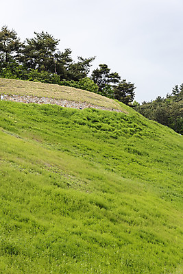 포토 JPG 주간 나무 한국전통 여행 유적지 풍경 사람없음 야외 관광지 봄 세계문화유산 문화재 역사 한국사 국내여행 부여 사적지 성곽길 백제역사유적지구 부여나성 국내포토 자연요소 식물 전통 계절 길 고건축 한국 성 충청남도 파일형식