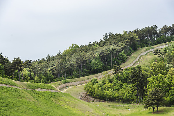 포토 JPG 주간 나무 한국전통 여행 유적지 하늘 풍경 사람없음 야외 관광지 봄 세계문화유산 문화재 역사 한국사 국내여행 부여 사적지 성곽길 백제역사유적지구 부여나성 국내포토 자연요소 식물 전통 계절 길 고건축 한국 성 충청남도 파일형식