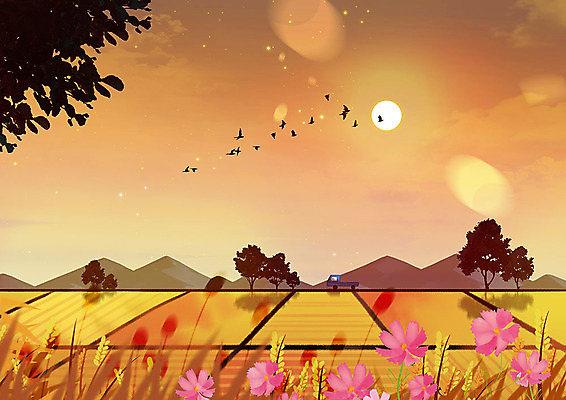 PSD 꽃 백그라운드 일러스트 논 따뜻함 한명 사람 풍경 노을 가을풍경 주황색 고요 일몰 트럭 수확 가을 농촌 시골 저녁 코스모스 가을배경 국내일러스트 자연요소 식물 1 계절 컬러 농업 자동차 야간 파일형식 가을_계절