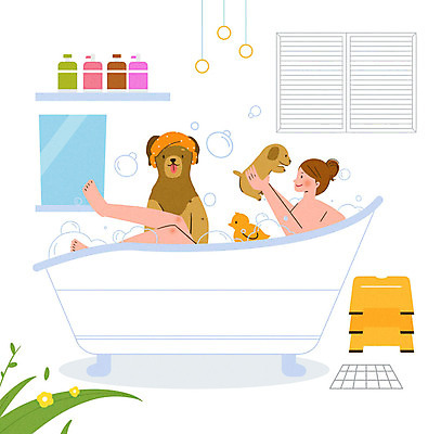 PSD 동물 라이프스타일 여자 행복 반려견 두마리 일러스트 가족 함께함 욕조 사랑 한명 사람 성인 목욕 거울 가족라이프 개 강아지 즐거움 화장실 거품목욕 샴푸 동행 반려 성인여자한명만 국내일러스트 1 감정 컨셉 2 포유류 관계 생활 반려동물 위생용품 청결 거품 여자한명만 성인여자만 파일형식