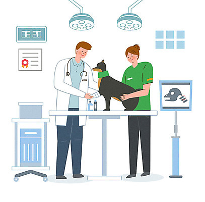 PSD 동물 한마리 라이프스타일 여자 남자 반려견 시계 일러스트 가족 함께함 엑스레이 성인 두명 간호사 의사 가족라이프 수술 개 강아지 고민 동물병원 수의사 동행 깁스 반려 수술대 자격증 성인만 국내일러스트 1 감정 컨셉 포유류 의학 관계 병원 사람 생활 치료 반려동물 의료진 의료용품 증명서 파일형식