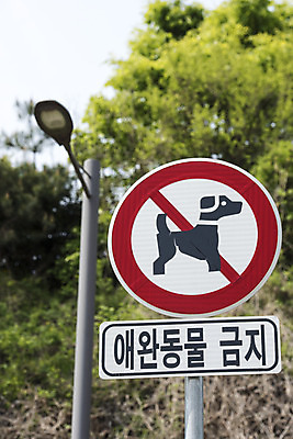포토 JPG 주간 교통 안내 안전 풍경 사람없음 야외 반려동물 금지 표지판 개 강아지 지시 신호 도로표지판 안전수칙 교통안전 안전교육 동물라이프 반려 법규 안내표지판 안전표지판 주의표 주의표지판 국내포토 자연요소 동물 라이프스타일 교육 도로 포유류 모션 알림판 주의 파일형식