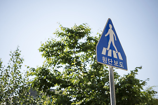 포토 JPG 주간 도로 교통 안내 안전 풍경 사람없음 야외 표지판 보행자 횡단보도 지시 신호 도로표지판 안전수칙 교통안전 안전교육 도보 법규 보행자우선 안내표지판 안전표지판 주의표 주의표지판 국내포토 자연요소 교육 길 교통시설 모션 알림판 주의 보행로 파일형식