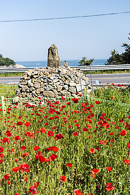 포토 JPG 주간 꽃밭 자연 하늘 한국 풍경 사람없음 야외 맑음 돌_바위 석탑 양귀비 여수 국내포토 자연요소 꽃 아시아 날씨 탑 전라남도 생태계 파일형식