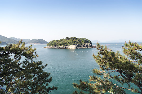 포토 JPG 주간 나무 바다 하늘 한국 풍경 사람없음 야외 맑음 무인도 여수 국내포토 자연요소 식물 아시아 섬 날씨 전라남도 파일형식