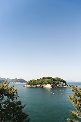 포토 JPG 주간 나무 바다 하늘 한국 풍경 사람없음 야외 맑음 무인도 여수 국내포토 자연요소 식물 아시아 섬 날씨 전라남도 파일형식