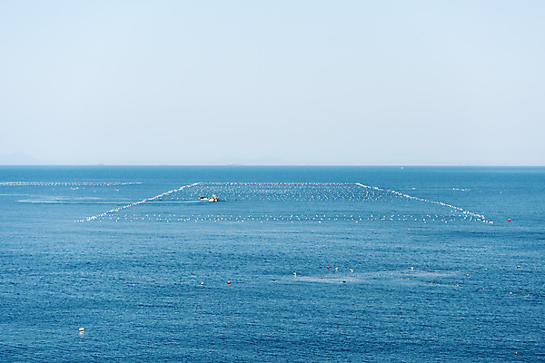 포토 JPG 주간 바다 하늘 한국 풍경 사람없음 야외 맑음 양식장 여수 국내포토 자연요소 아시아 날씨 전라남도 시설 파일형식