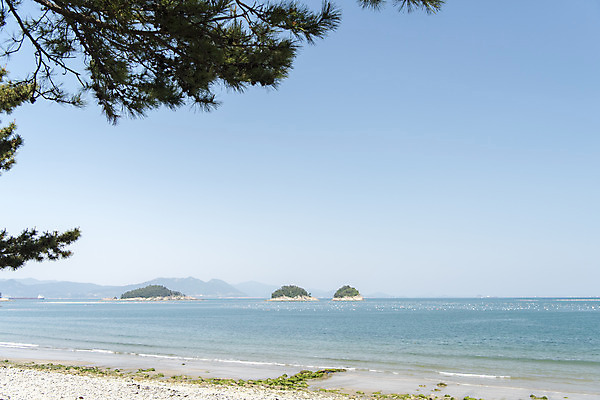 포토 JPG 주간 나무 바다 하늘 한국 풍경 사람없음 야외 맑음 여수 국내포토 자연요소 식물 아시아 날씨 전라남도 파일형식