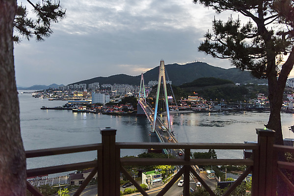 포토 JPG 나무 바다 야경 한국 사람없음 야외 맑음 여수 돌산대교 전경 국내포토 식물 아시아 날씨 풍경 다리_건축물 야간 전라남도 파일형식 탑뷰 풍경_경치