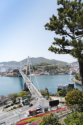 포토 JPG 주간 나무 바다 한국 풍경 사람없음 야외 맑음 여수 돌산대교 전경 장군도 국내포토 자연요소 식물 아시아 섬 날씨 다리_건축물 전라남도 파일형식 탑뷰