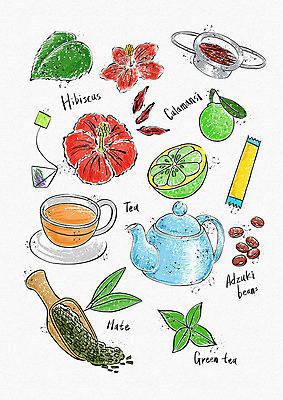 PSD 웰빙 음료 다이어트 일러스트 주전자 건강 사람없음 건강관리 차 녹차 허브 힐링 웰빙라이프 티백 녹차티백 허브꽃 마테차 디톡스 국내일러스트 식물 라이프스타일 꽃 주방용품 관리 차_음료 파일형식