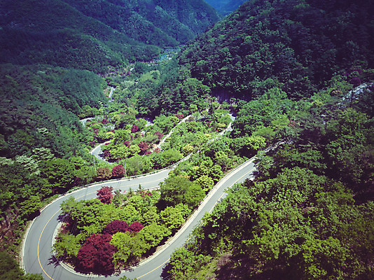 포토 JPG 주간 나무 길 여행 자연 한국 풍경 사람없음 야외 여름 관광지 맑음 여름풍경 언덕 항공촬영 국내여행 단양 명승지 전경 보발재 국내포토 자연요소 식물 계절 아시아 뷰포인트 날씨 생태계 충청북도 파일형식 탑뷰 여름_계절
