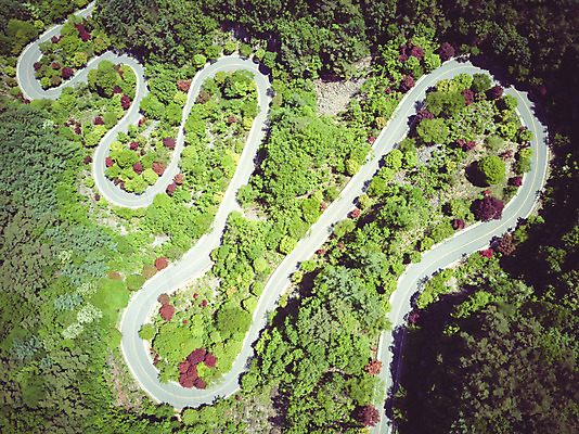 포토 JPG 주간 나무 길 여행 자연 한국 풍경 사람없음 야외 여름 관광지 맑음 여름풍경 언덕 항공촬영 국내여행 단양 명승지 전경 보발재 국내포토 자연요소 식물 계절 아시아 뷰포인트 날씨 생태계 충청북도 파일형식 탑뷰 여름_계절