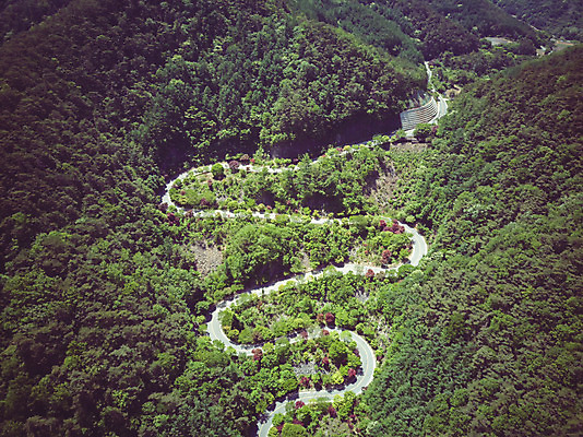 포토 JPG 주간 나무 길 여행 자연 한국 풍경 사람없음 야외 여름 관광지 맑음 여름풍경 언덕 항공촬영 국내여행 단양 명승지 전경 보발재 국내포토 자연요소 식물 계절 아시아 뷰포인트 날씨 생태계 충청북도 파일형식 탑뷰 여름_계절