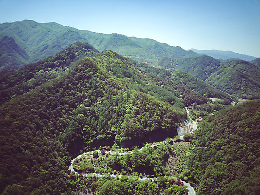포토 JPG 주간 나무 길 여행 자연 산 한국 풍경 사람없음 야외 여름 관광지 맑음 여름풍경 언덕 항공촬영 국내여행 단양 명승지 전경 보발재 국내포토 자연요소 식물 계절 아시아 뷰포인트 날씨 생태계 충청북도 파일형식 탑뷰 여름_계절