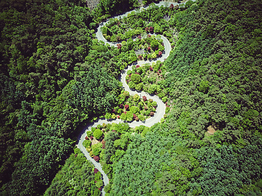포토 JPG 주간 나무 길 여행 자연 한국 풍경 사람없음 야외 여름 관광지 맑음 여름풍경 언덕 항공촬영 국내여행 단양 명승지 전경 보발재 국내포토 자연요소 식물 계절 아시아 뷰포인트 날씨 생태계 충청북도 파일형식 탑뷰 여름_계절